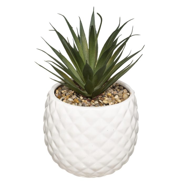 Ananasplant met GOUDEN POT 22cm