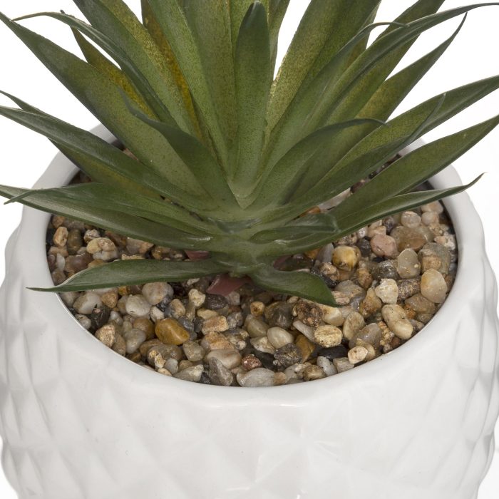 Ananasplant met GOUDEN POT 22cm