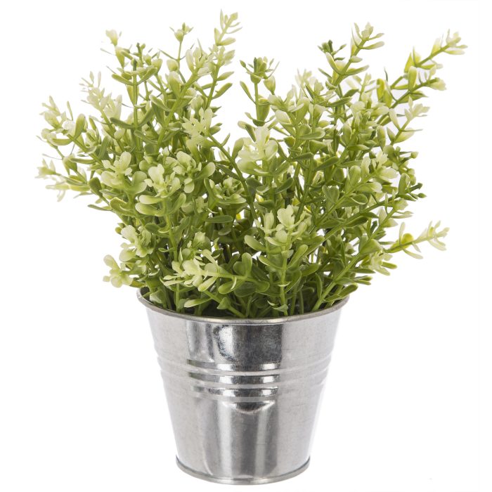 Plant in tinnenpot 25cm