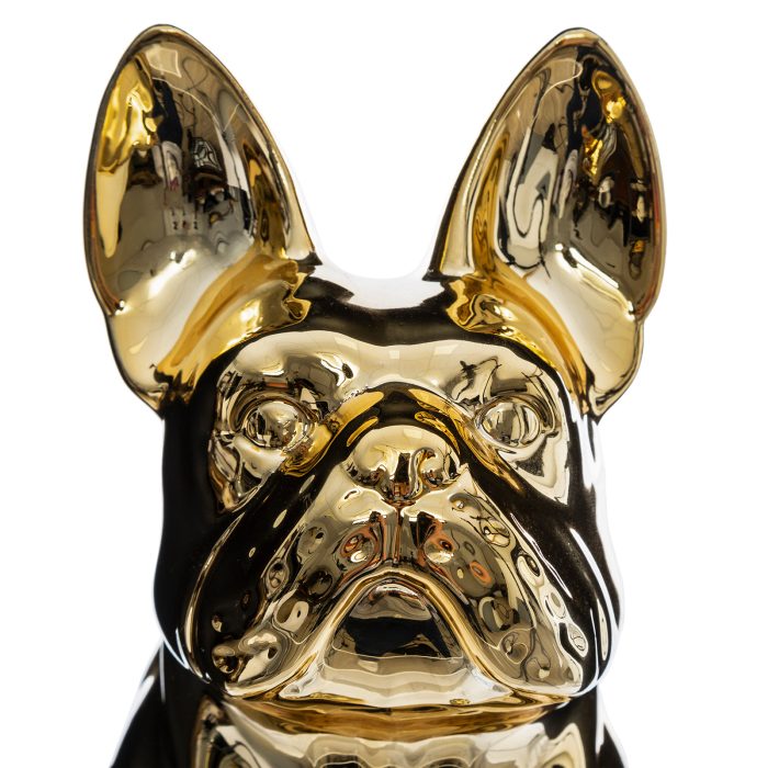 DOG GOLD H22