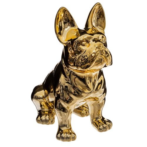 DOG GOLD H22